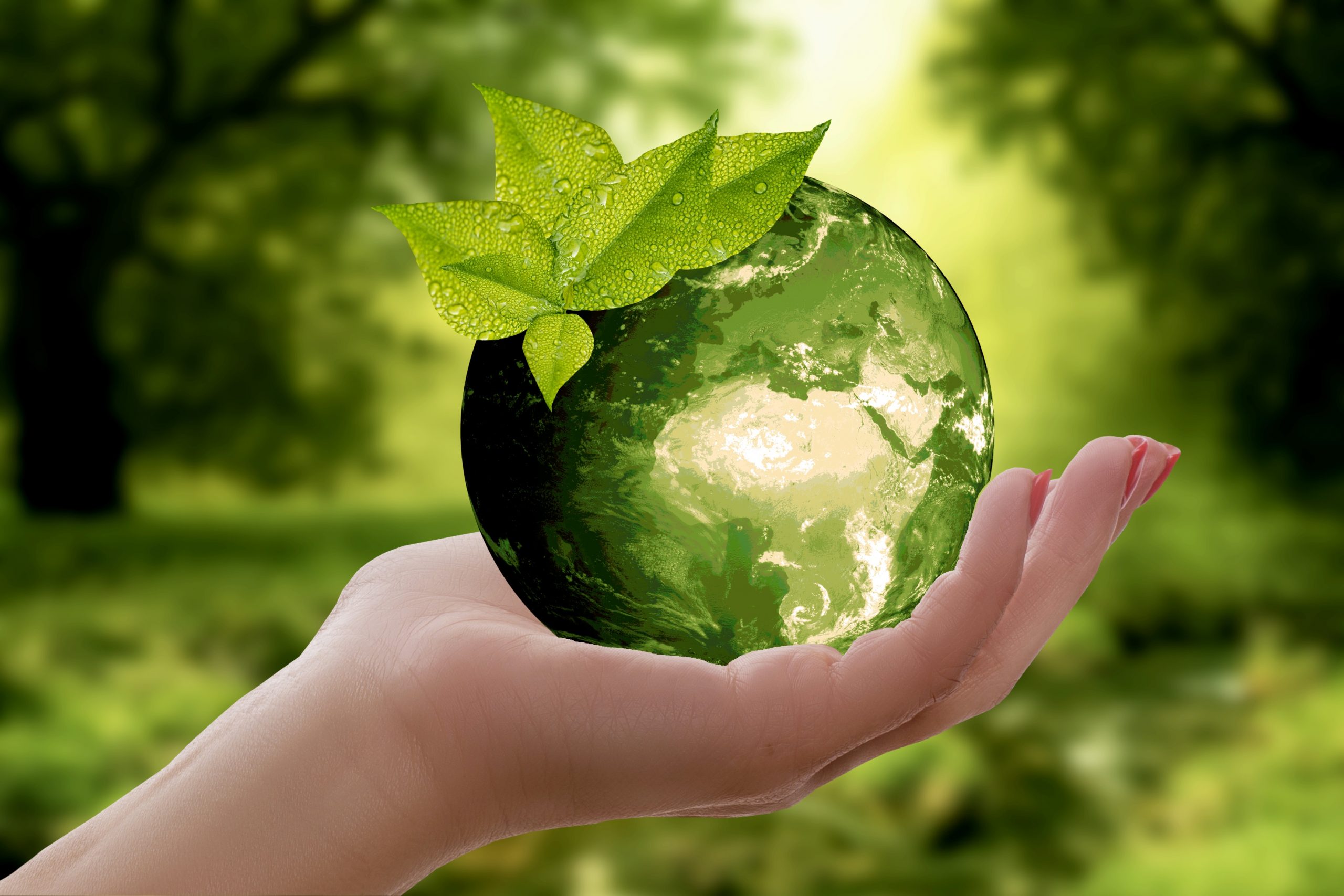 Empresa de reciclaje informatico Recogida de equipos informáticos obsoletos